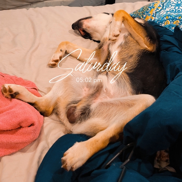 Meet your Posher, Amanda - Picture 3 of 9